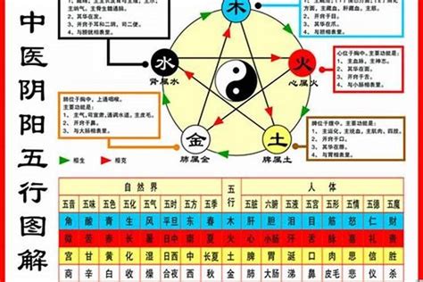 84年属|1984年属什么的生肖